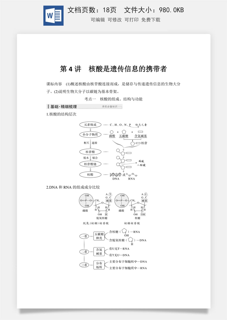 高中-高考总复习-生物-第4讲　核酸是遗传信息的携带者.doc